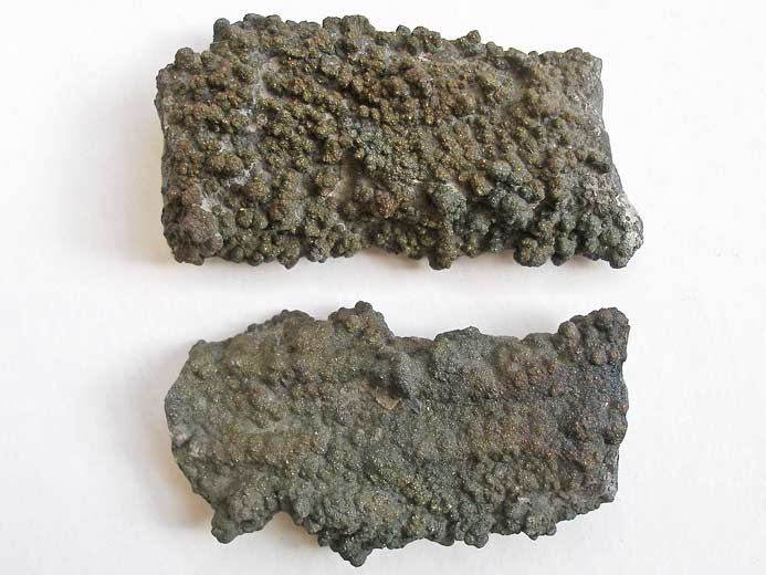 Ichnofossile: terrier pyritis jurassique Boulonnais
